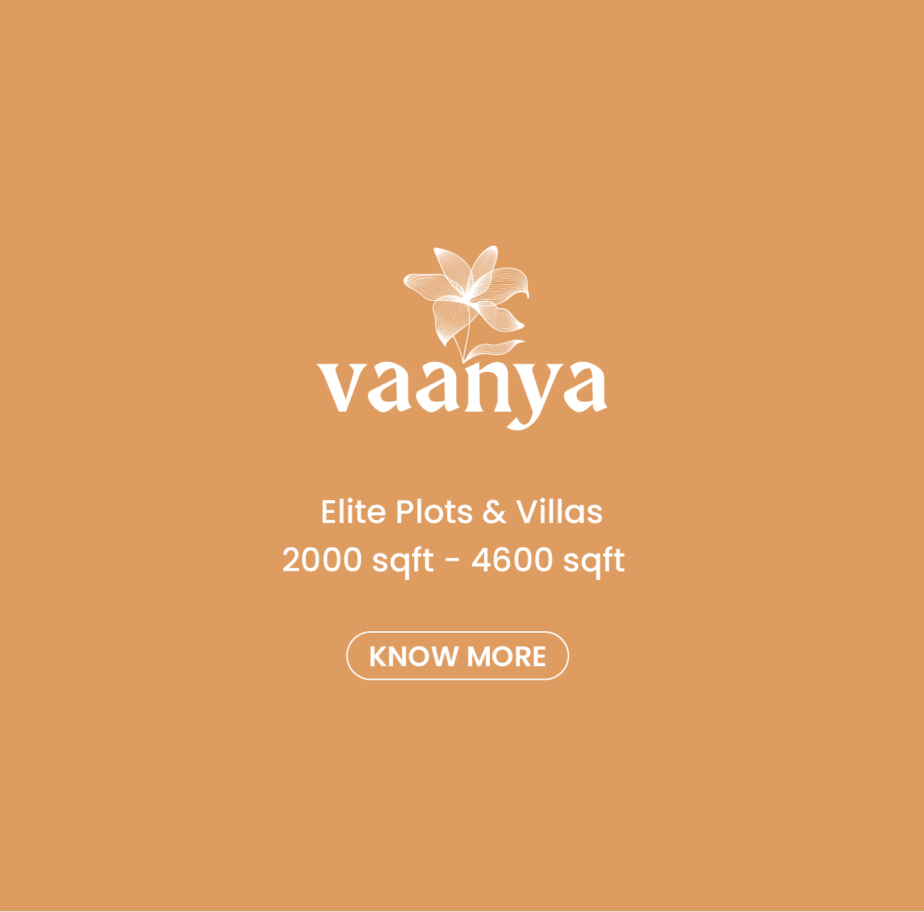 Vaanya